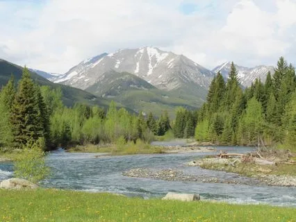 Guided Meditation: An Eagle's Flight