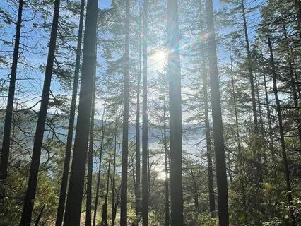 Meditation And Body Scan For Gratitude