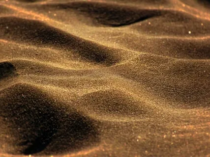 Guided Meditation & Healing Somatic Movement Exploration