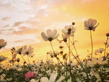 Meditation And Sound Healing For Deep Relaxation