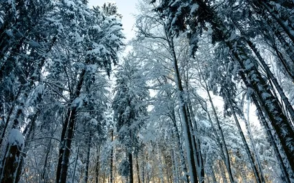 Guided Meditation Based On Self-Inquiry