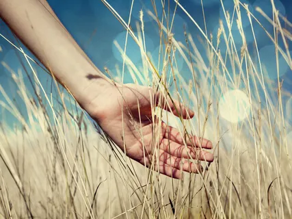 Hands - Full Of Philosophy & Finishing With A Cosmic Wish