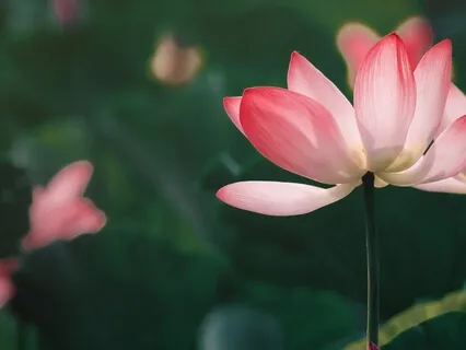 Guided Meditation: Come Into The Present Moment