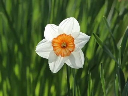 Connect To Your Innocence