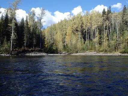 Guided Meditation - Dealing With Depression