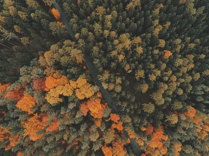 The Art Of Detachment & Letting Go