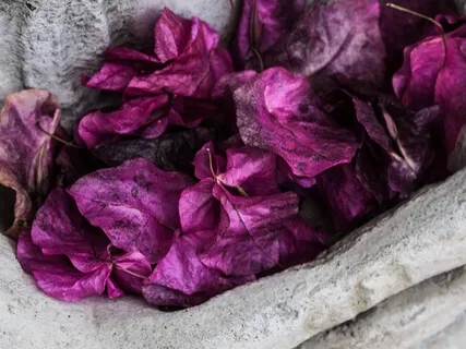 Guided Meditation: Embrace Self Love 