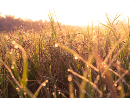 Existential Crisis – How To Surrender & Find Solutions