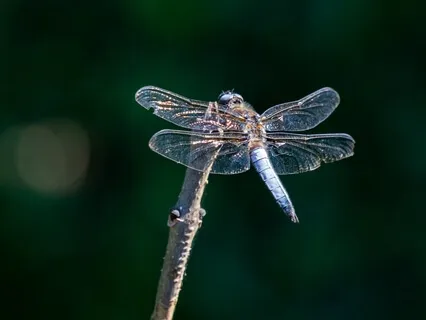 Feeling Guilty? Let's Transform It!