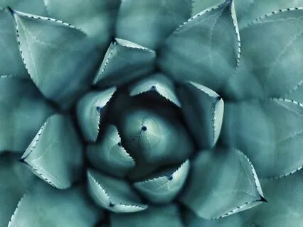 Meditation For A Busy Mind: Return To The Senses