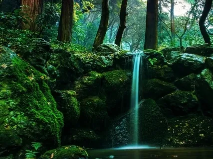 Guided Practice For A Peaceful Mind: The Butterfly Sanctuary