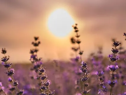 Guided Meditation For A Positive Mindset