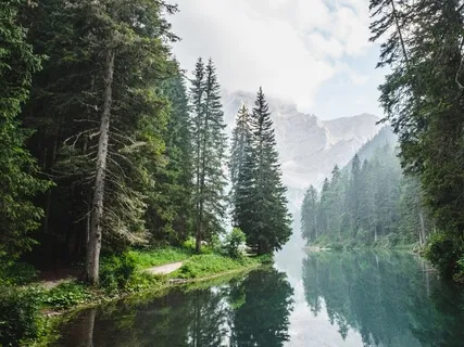 Guided Practice For Anxiety