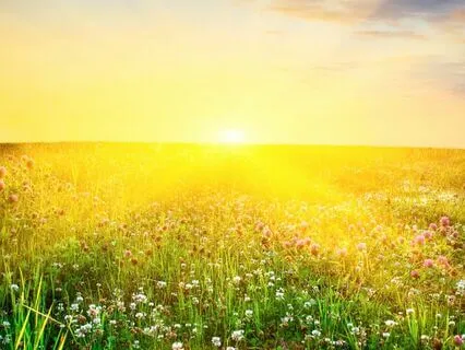 Guided Mindfulness Meditation For Anxiety & Stress