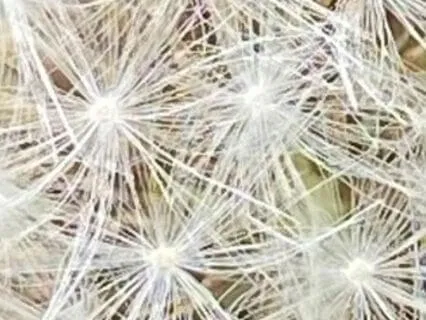 Meditation For Beginners: Practicing Letting Go