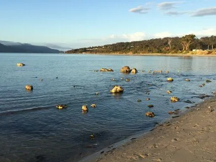 Meditation For Better Focus And Attention