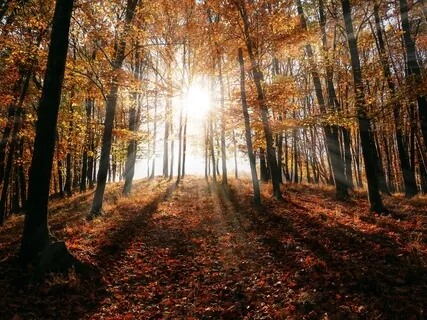 Guided Meditation For Brighter Aura