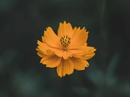 Building Better Habits