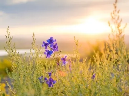 Guided Meditation For Calm - 3 Minutes - With Music