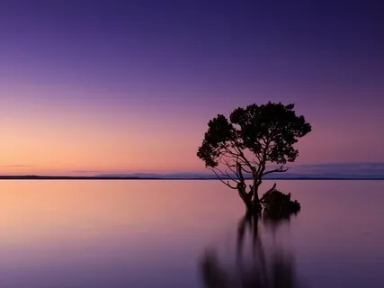 Guided Meditation For Calm