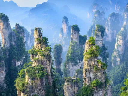 Cancer Recovery Support, Holistic Self Healing & Wholeness