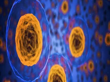 Guided Meditation For Chronic Health Conditions