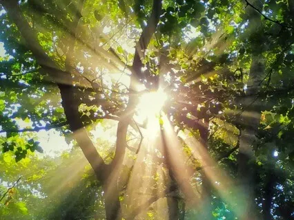 Quick Practice For Clarity + Energy