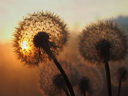 I Believe In You: Cultivate Confidence, Inner Peace, And Healing