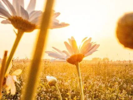 Connecting With Your Higher Self