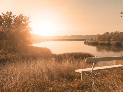 Connection & Belonging 