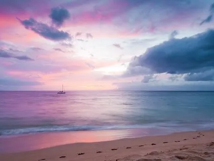 Connection, Presence, And Relaxation