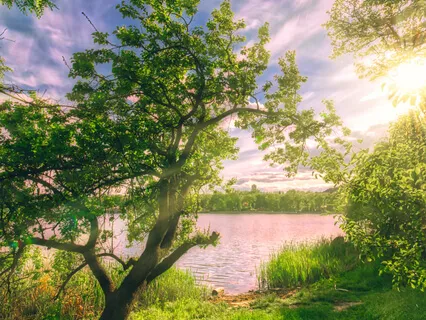 Guided Meditation For Contentment