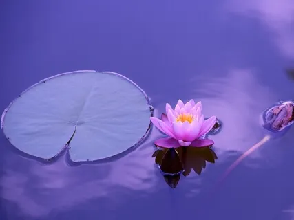 Deep Relaxation And Stress Relief