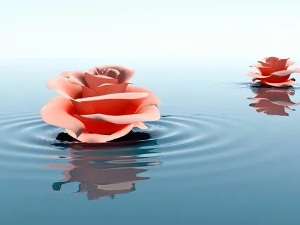 Easing Pain And Finding Comfort