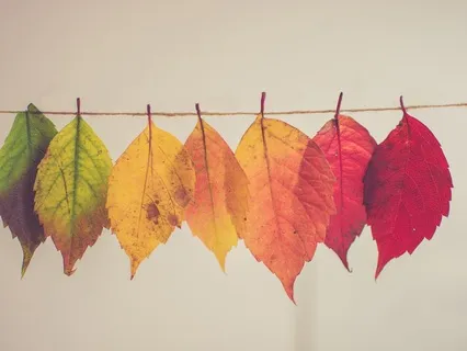 Embracing Change Guided Meditation