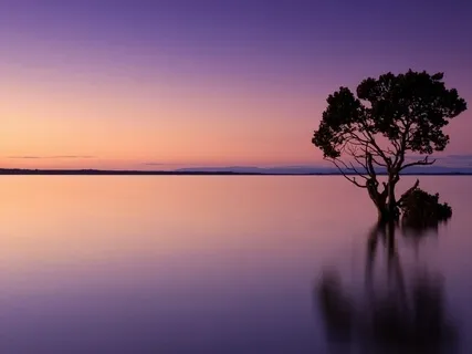 Guided Meditation For Evening & Sleep