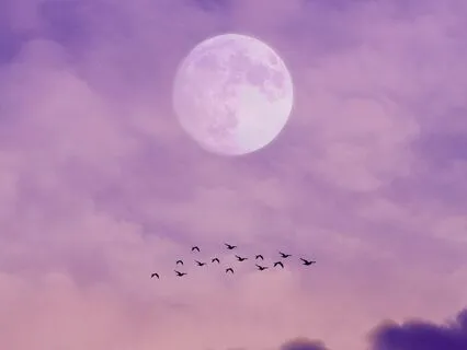 Meditation For Falling Asleep