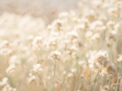 Guided Meditation For Finding Peace And Strength