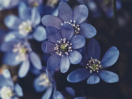 Three-Minute Focus Practice