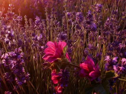 Forgiveness For Peace & Healing