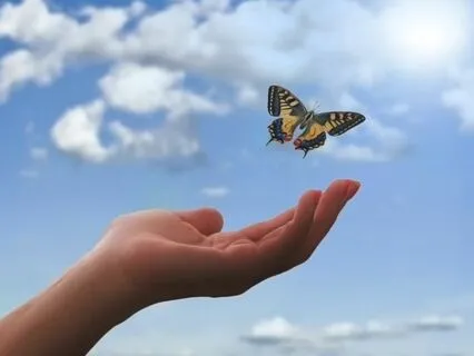 Giving And Receiving Love