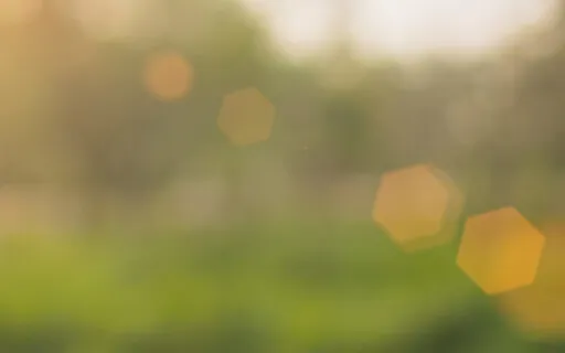 Guided Meditation For Grief And Loss