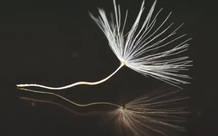 Guided Meditation For Grief & Sadness