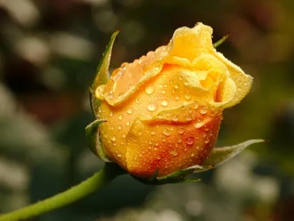 Guided Exercise For Grief