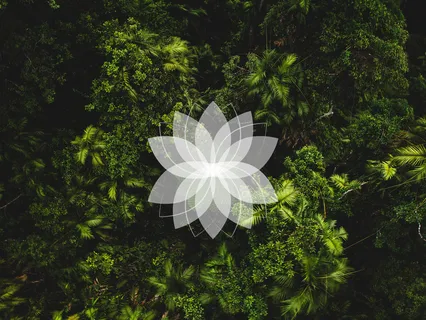 Morning Meditation For Grounding & Connecting