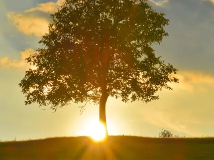 Guided Meditation For Grounding And Releasing