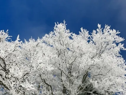 Grounding With 256 Hz Music