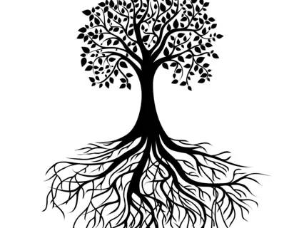 Grounding Yourself - Root Chakra