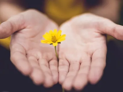 Guided Meditation For Healing And Forgiveness