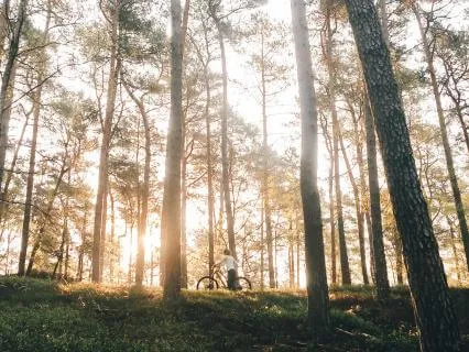 Healing Your Inner Child